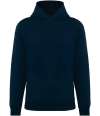 NS441 Native Spirit Unisex Oversized Hooded Sweatshirt Navy colour image